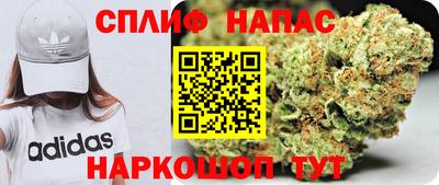 мдпв Надым