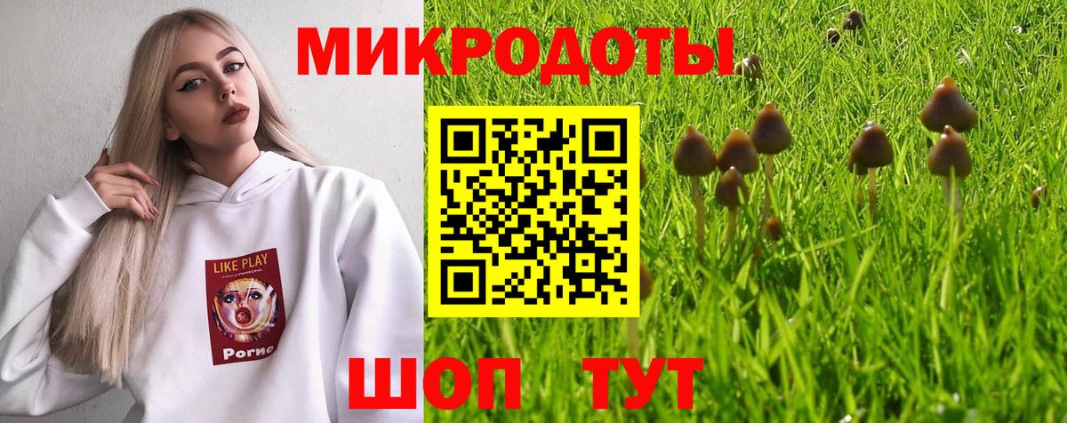 Подольск  Псилоцибиновые грибы Psilocybe  Вход с VPN  Галлюциногенные грибы Magic Shrooms 