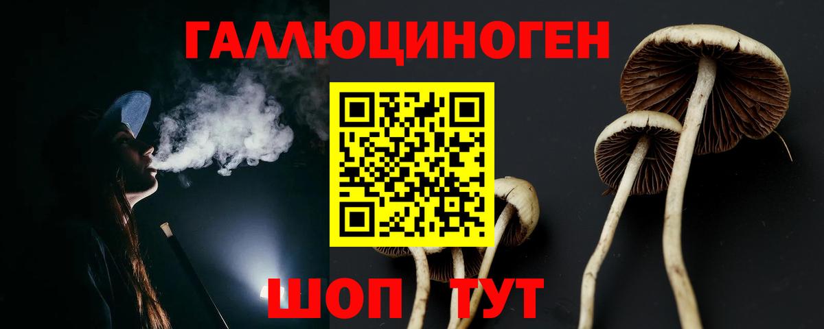 Галлюциногенные грибы прущие грибы Подольск